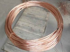 广东铜包钢圆线生产厂家-沧州津德环保公司供应铜包钢绞线