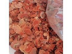 福安红栓菌，回收价2300一斤  贵州剑河：羊肚菌迎首轮丰收