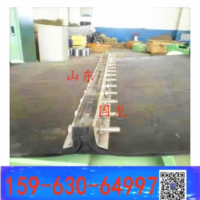 弃铁器卸铁皮带除铁器环形带b500 b1600x5590