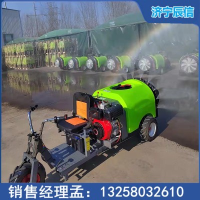 窄小密植果园洒药机 柴油400L风送式喷雾机