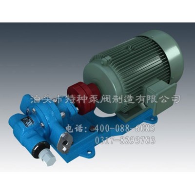 山东不锈钢齿轮油泵定制生产/泊特泵厂价零售KCB齿轮泵