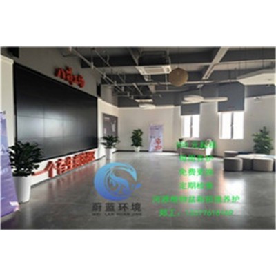 河源源城区商业中心绿植租赁养护注意事项 河源蔚蓝环境绿化