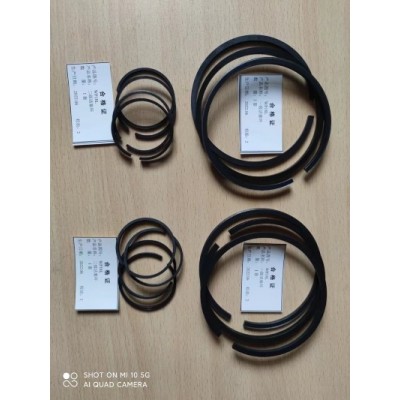 WP32L WP25L WP18L 南京船用压缩机活塞环