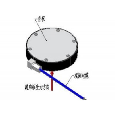 城市生命线案例