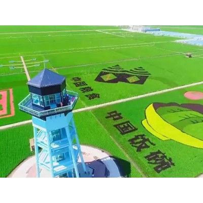 北京大麦代施肥_王冉农业公司农作物代种植种植物代栽培
