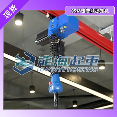 益阳环链智能提升机价格,环链智能提升机龙海起重工具价格合理