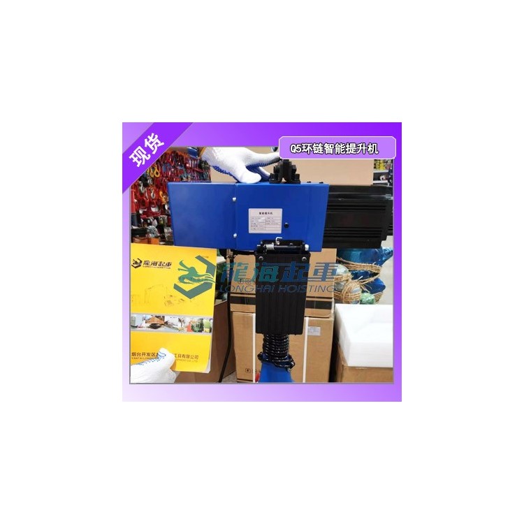 仓储搬运用环链智能平衡吊,国产环链智能平衡吊找龙海起重工具