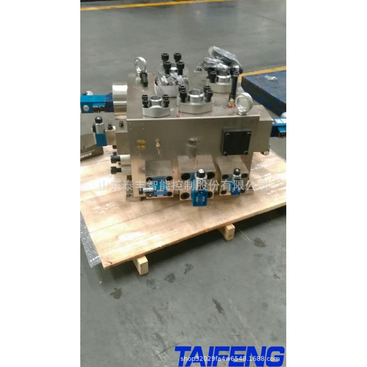 泰丰现货供应YN32-100FNBCV型插装阀