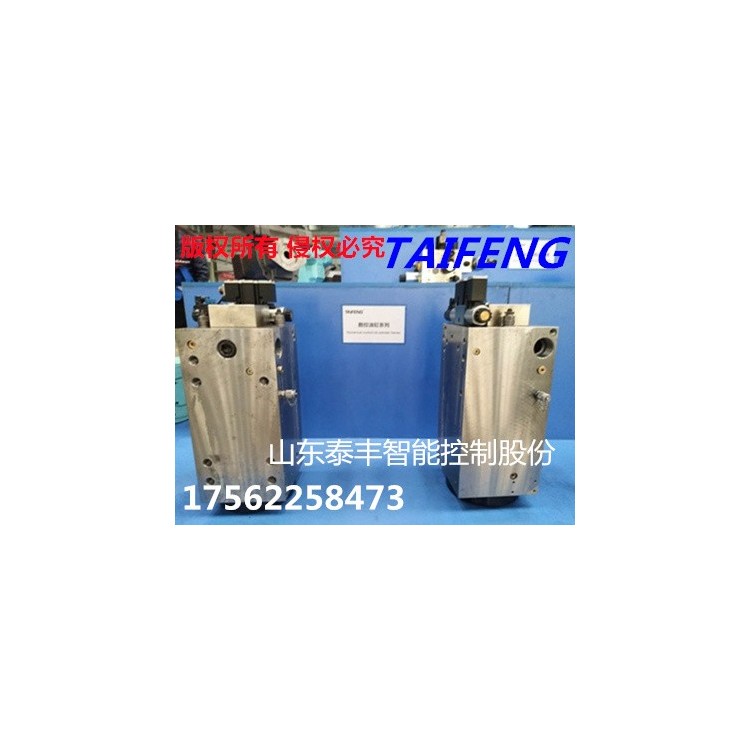 泰丰工厂直营生产WC67Y-200HD-00型折弯机油缸