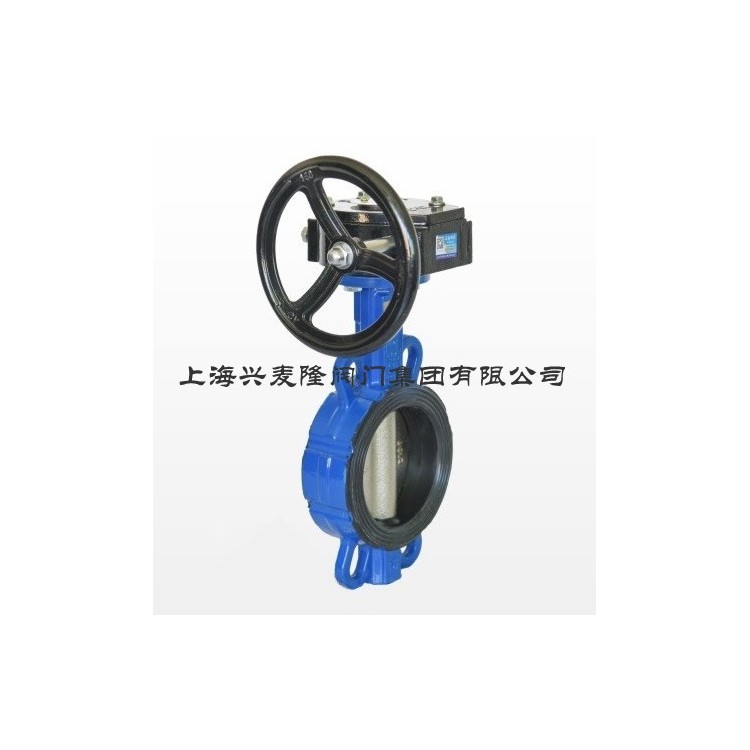 蜗轮对夹蝶阀